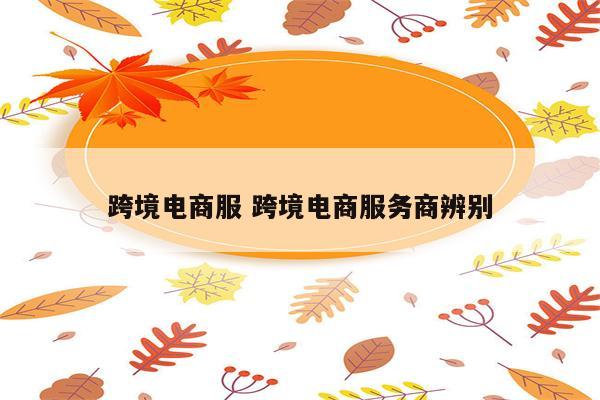 跨境电商服 跨境电商服务商辨别