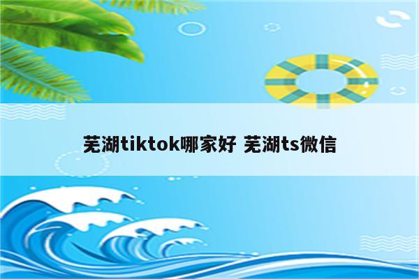 芜湖tiktok哪家好 芜湖ts微信