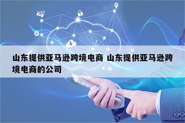 山东提供亚马逊跨境电商 山东提供亚马逊跨境电商的公司