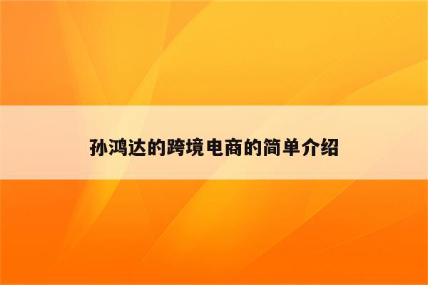 孙鸿达的跨境电商的简单介绍