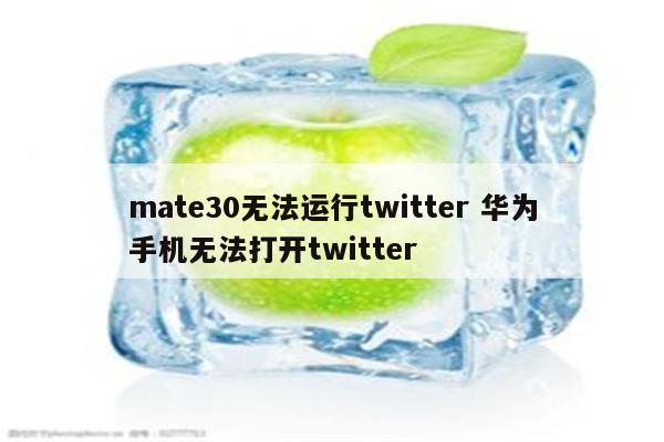 mate30无法运行twitter 华为手机无法打开twitter