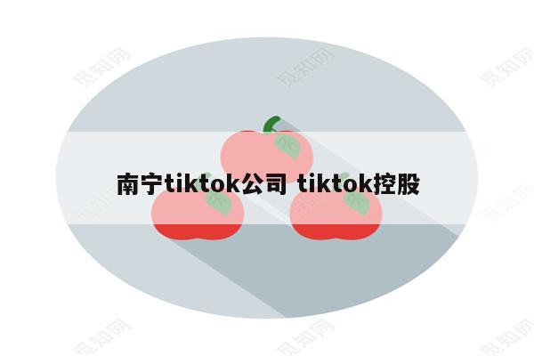 南宁tiktok公司 tiktok控股