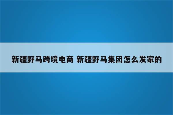 新疆野马跨境电商 新疆野马集团怎么发家的