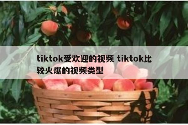 tiktok受欢迎的视频 tiktok比较火爆的视频类型