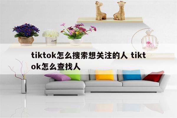 tiktok怎么搜索想关注的人 tiktok怎么查找人
