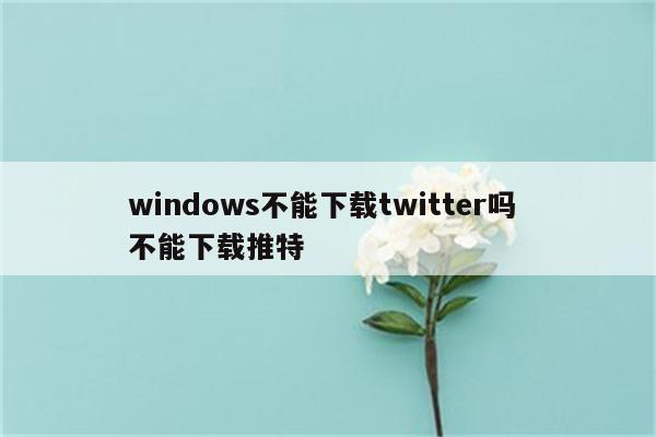 windows不能下载twitter吗 不能下载推特