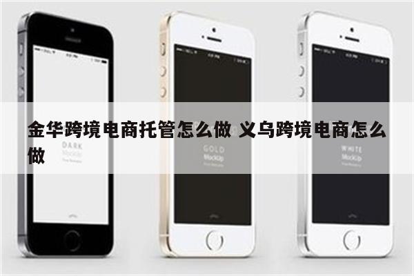 金华跨境电商托管怎么做 义乌跨境电商怎么做