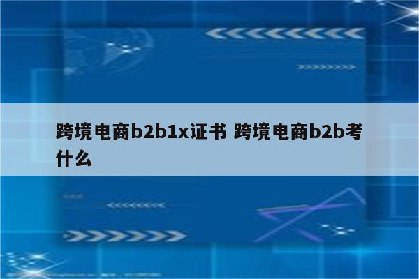 跨境电商b2b1x证书 跨境电商b2b考什么