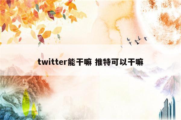 twitter能干嘛 推特可以干嘛