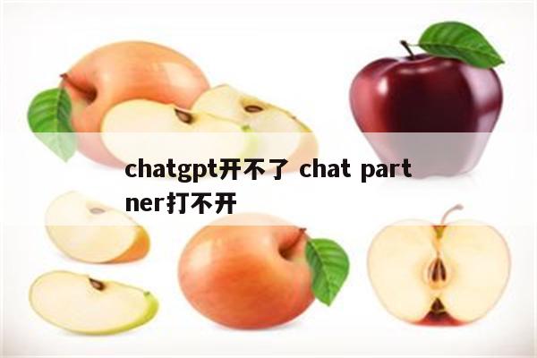 chatgpt开不了 chat partner打不开