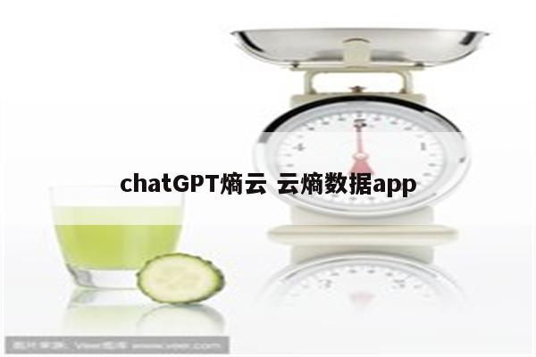 chatGPT熵云 云熵数据app