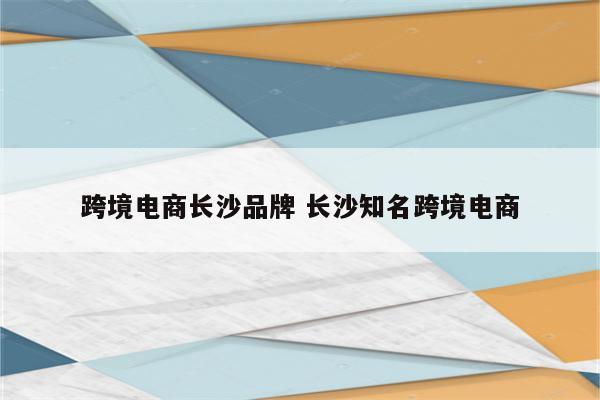 跨境电商长沙品牌 长沙知名跨境电商