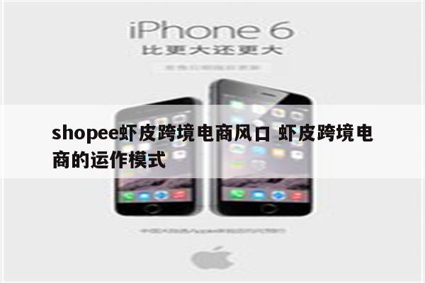 shopee虾皮跨境电商风口 虾皮跨境电商的运作模式