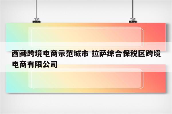 西藏跨境电商示范城市 拉萨综合保税区跨境电商有限公司
