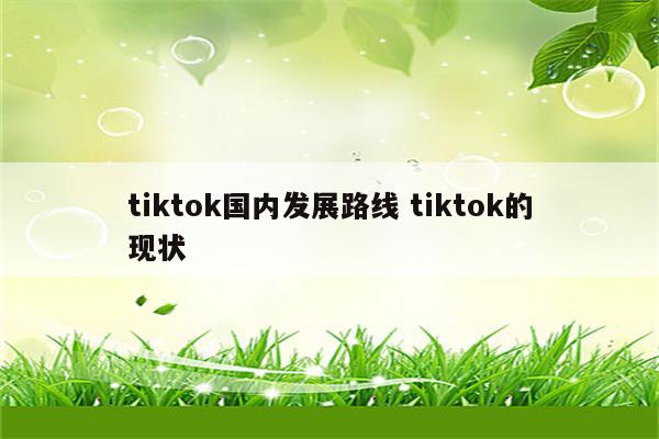 tiktok国内发展路线 tiktok的现状