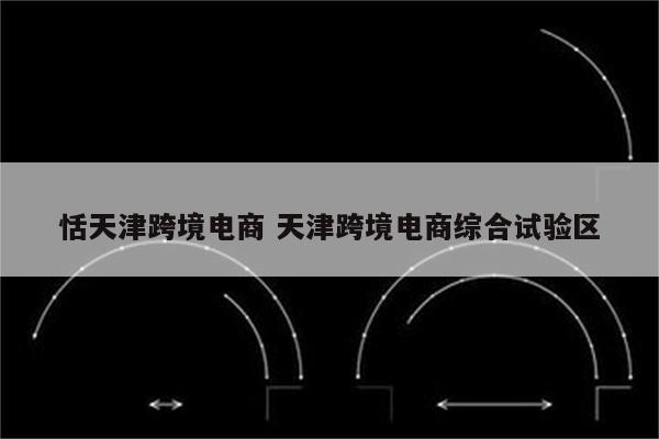 恬天津跨境电商 天津跨境电商综合试验区