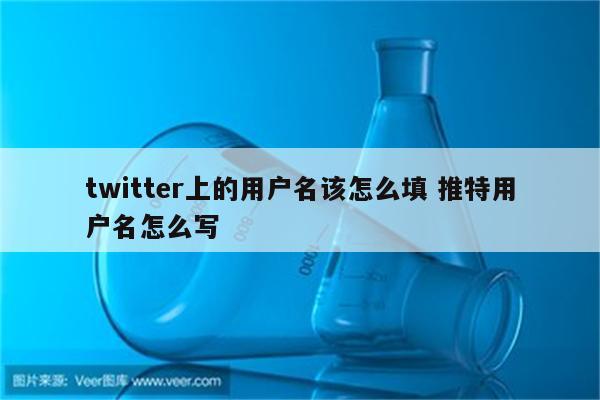 twitter上的用户名该怎么填 推特用户名怎么写
