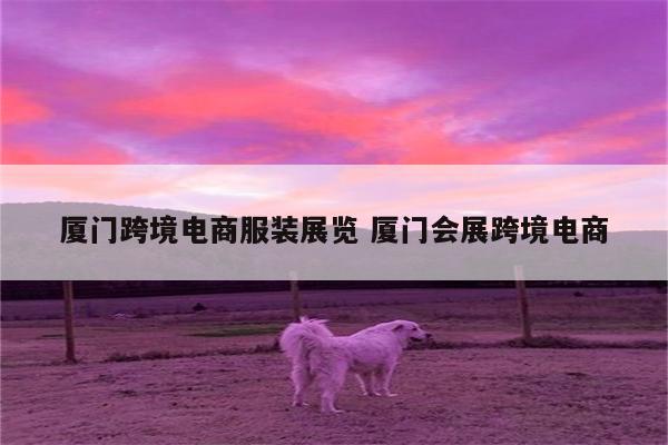 厦门跨境电商服装展览 厦门会展跨境电商