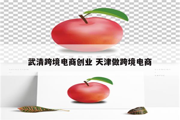 武清跨境电商创业 天津做跨境电商