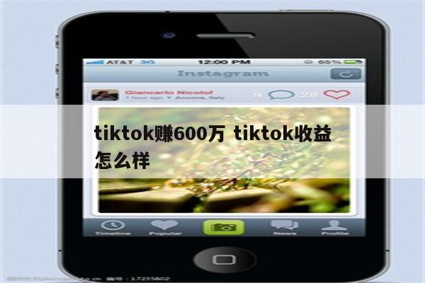 tiktok赚600万 tiktok收益怎么样
