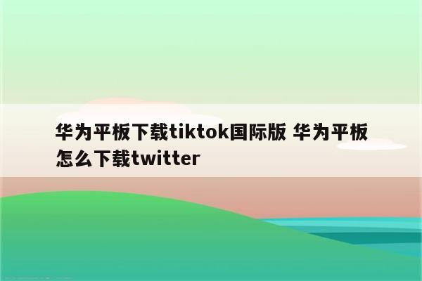 华为平板下载tiktok国际版 华为平板怎么下载twitter