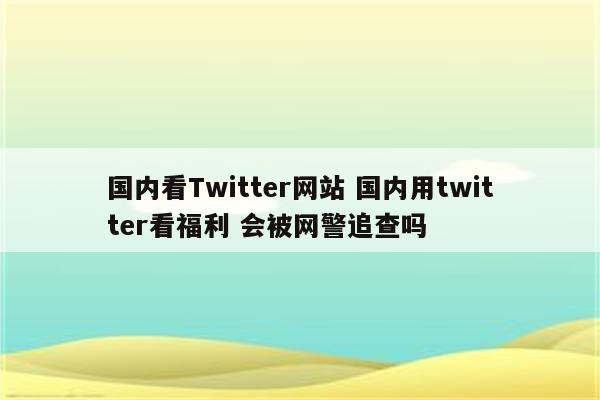 国内看Twitter网站 国内用twitter看福利 会被网警追查吗