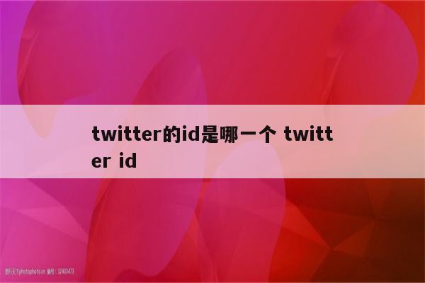 twitter的id是哪一个 twitter id