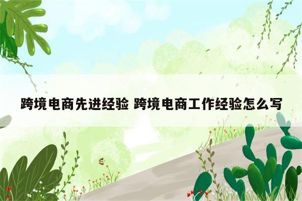 跨境电商先进经验 跨境电商工作经验怎么写