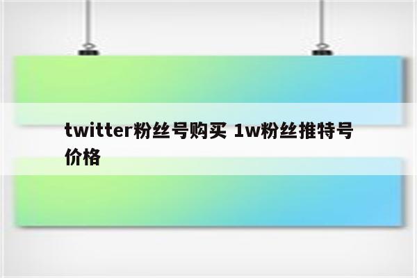 twitter粉丝号购买 1w粉丝推特号价格