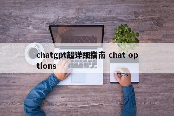 chatgpt超详细指南 chat options