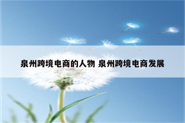 泉州跨境电商的人物 泉州跨境电商发展