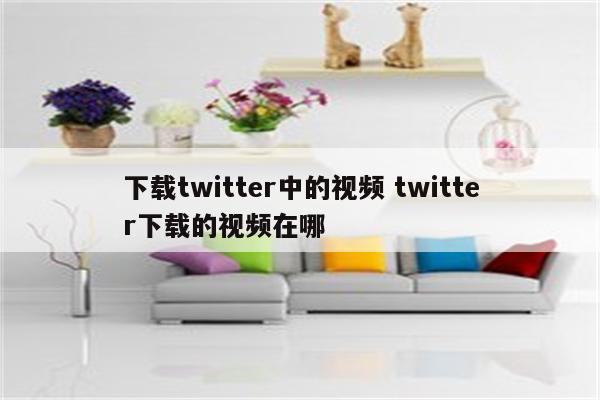 下载twitter中的视频 twitter下载的视频在哪