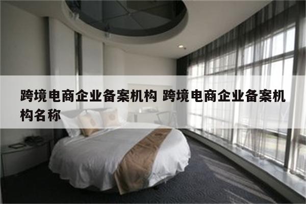 跨境电商企业备案机构 跨境电商企业备案机构名称