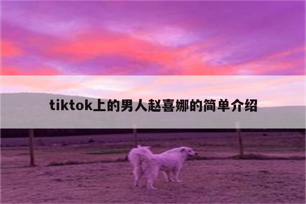 tiktok上的男人赵喜娜的简单介绍
