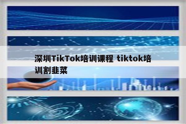 深圳TikTok培训课程 tiktok培训割韭菜