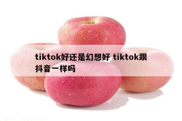 tiktok好还是幻想好 tiktok跟抖音一样吗