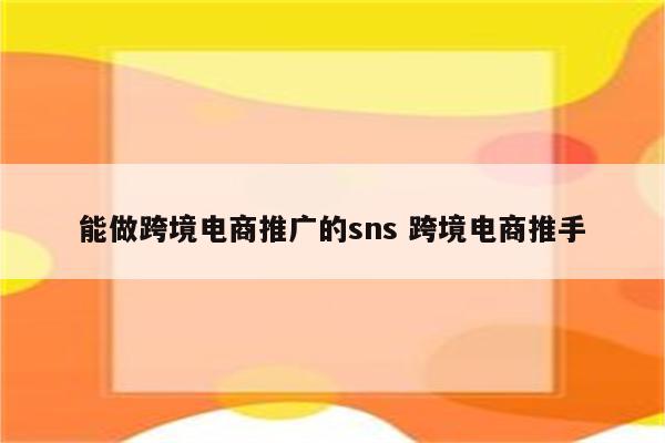 能做跨境电商推广的sns 跨境电商推手