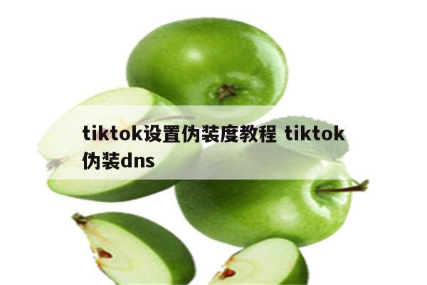 tiktok设置伪装度教程 tiktok伪装dns