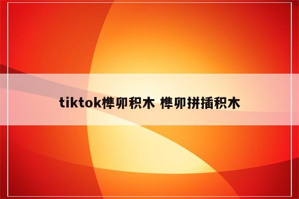 tiktok榫卯积木 榫卯拼插积木