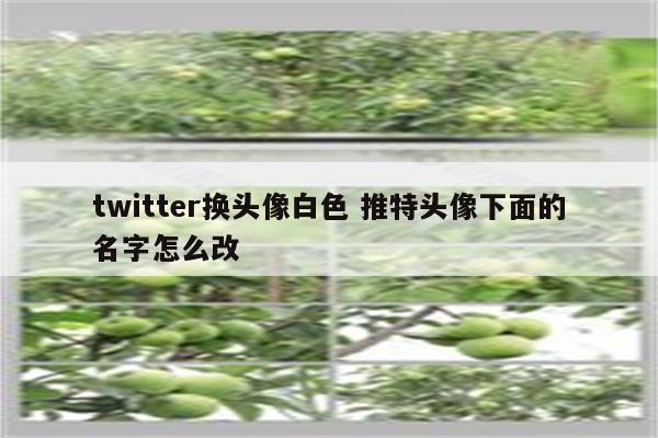 twitter换头像白色 推特头像下面的名字怎么改