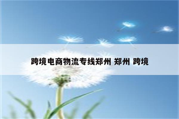 跨境电商物流专线郑州 郑州 跨境
