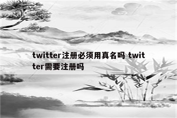 twitter注册必须用真名吗 twitter需要注册吗