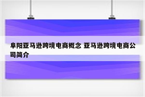 阜阳亚马逊跨境电商概念 亚马逊跨境电商公司简介