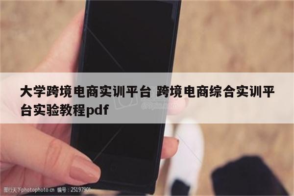 大学跨境电商实训平台 跨境电商综合实训平台实验教程pdf