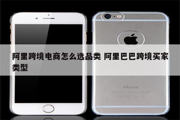 阿里跨境电商怎么选品类 阿里巴巴跨境买家类型