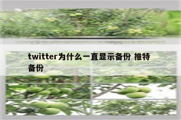 twitter为什么一直显示备份 推特 备份