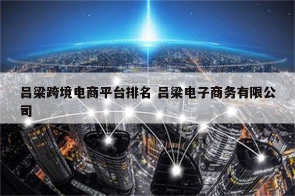 吕梁跨境电商平台排名 吕梁电子商务有限公司