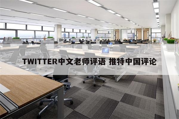 TWITTER中文老师评语 推特中国评论
