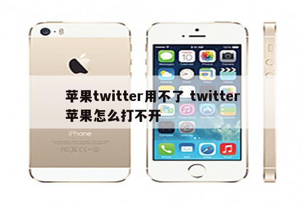 苹果twitter用不了 twitter苹果怎么打不开