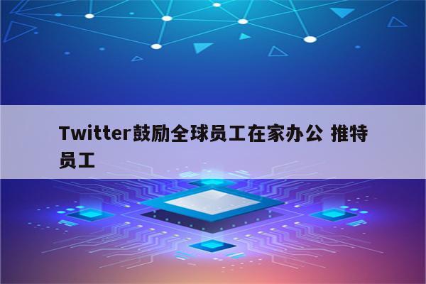 Twitter鼓励全球员工在家办公 推特员工